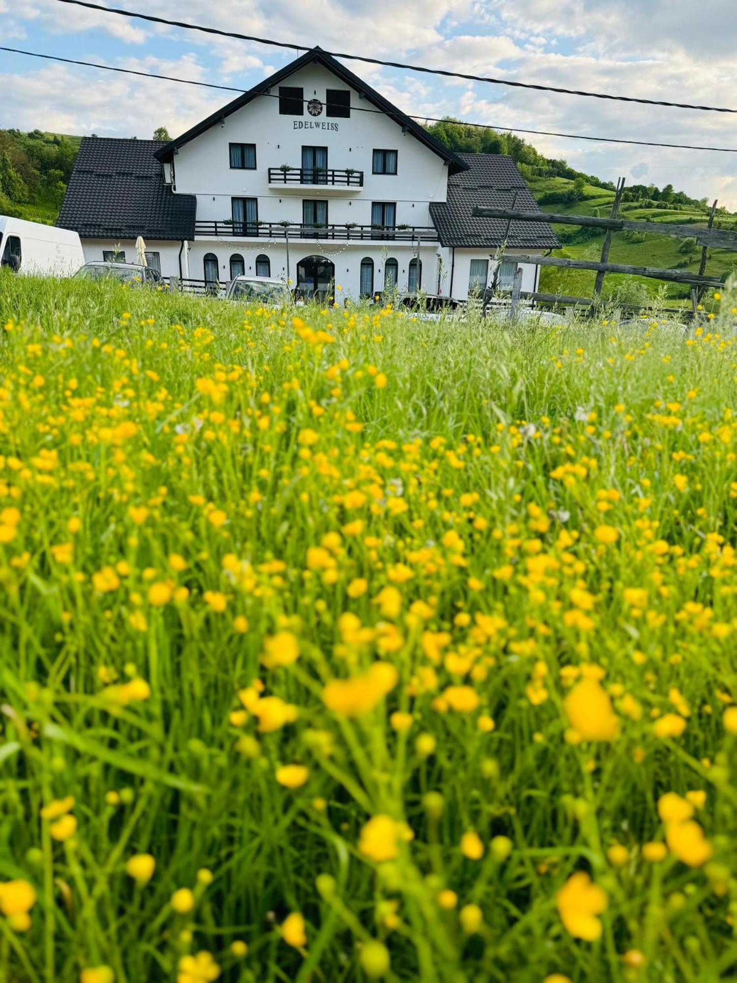Evenimente Edelweiss Hotel Bogdan Voda Exterior photo